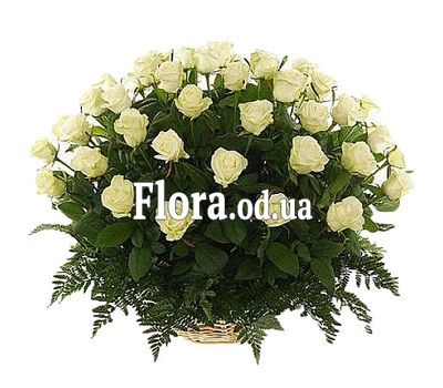 51 white roses