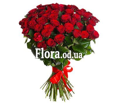 51 червона троянда 70 см