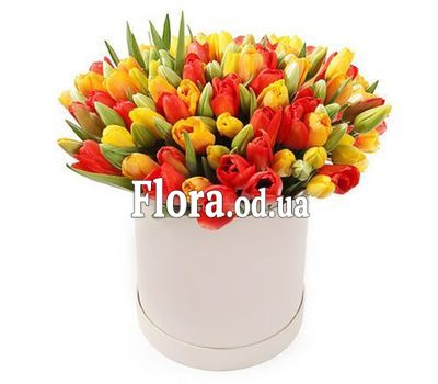 51 differently tulip in a box