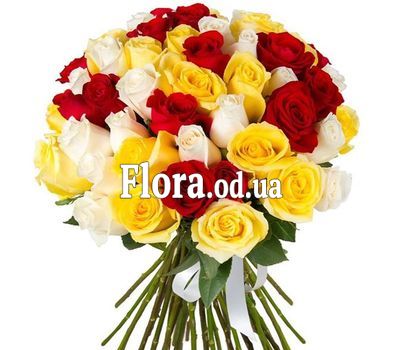 51 multi-colored roses