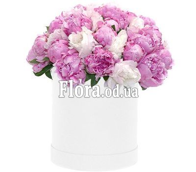 Белые и розовые пионы в коробке