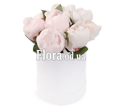 Белые пионы в коробке