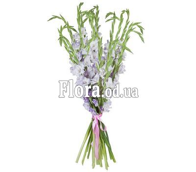 Букет гладиолусов