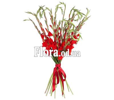 Букет из 11 красных гладиолусов