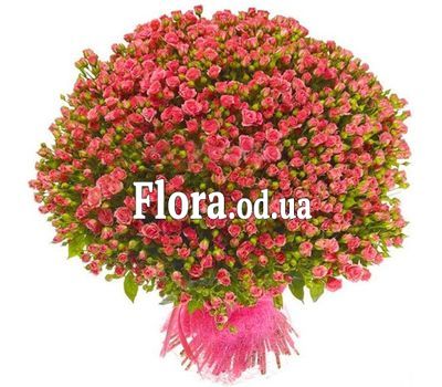 Bouquet of 151 roses spray