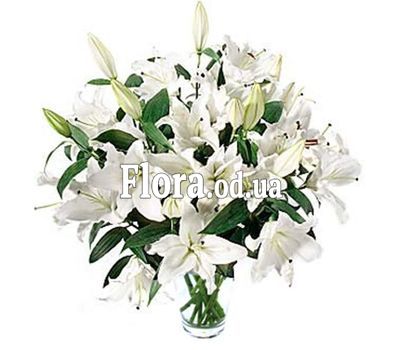 Букет из 19 лилий
