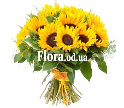 Bouquet of 19 sunflowers