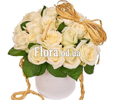 Bouquet of 25 white roses in a box