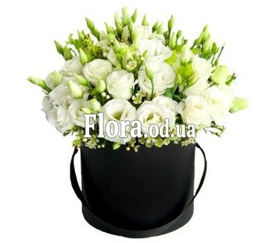 A bouquet of 25 eustoms in a box