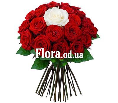 Bouquet of 25 roses - Pearl