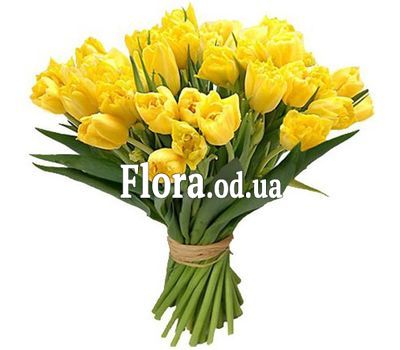 Букет из 25 желтых тюльпанов