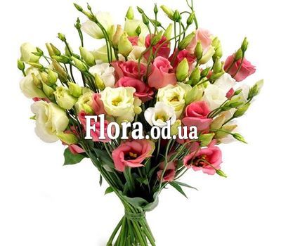 Bouquet of 27 eustoms