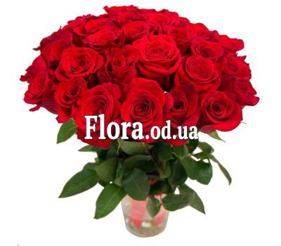 Букет из 31 красной розы