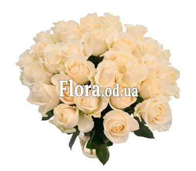 Bouquet of 33 white roses