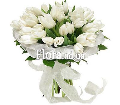 Букет из 35 белых тюльпанов