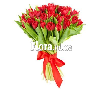 Букет из 35 красных тюльпанов