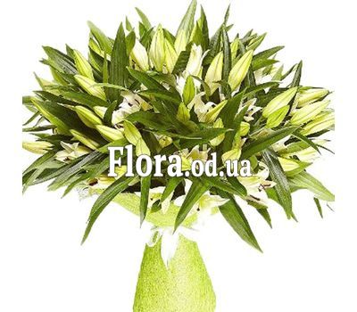 Букет из 35 лилий