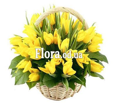 Bouquet of 45 yellow tulips