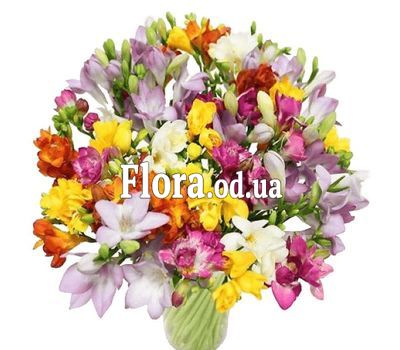 Букет з 51 фрезії