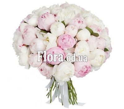 Букет из 51 пиона