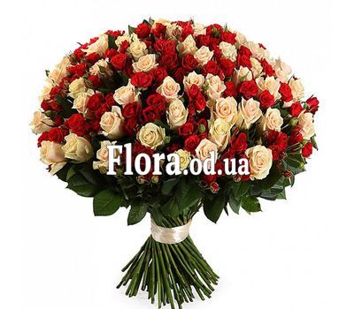 Bouquet of 55 roses spray