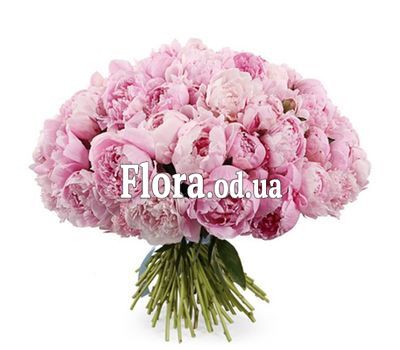 Букет из 55 пионов