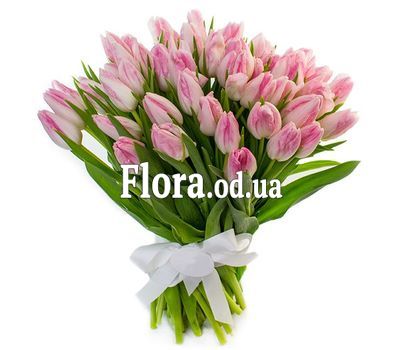 Bouquet of 65 pink tulips
