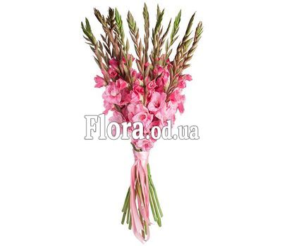 Букет розовых гладиолусов