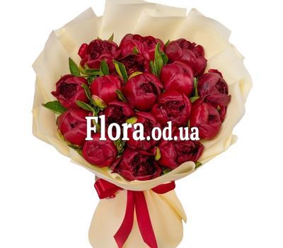 Букет из 17 бордовых пионов