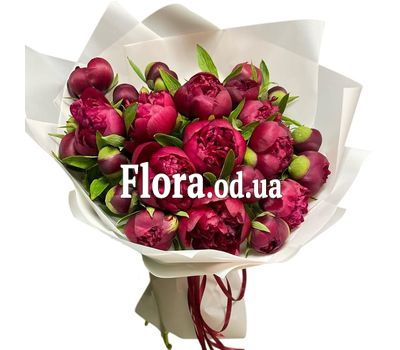 Букет з 25 бордових півоній