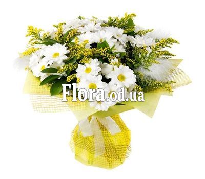 Chrysanthemum and mimosa