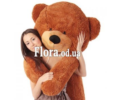 Brown bear 2 m