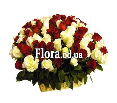Корзина из 101 красной и белой розы