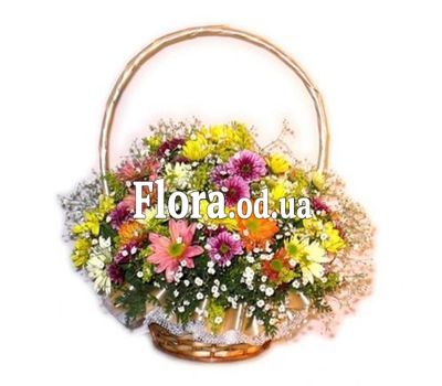 Basket of chrysanthemums