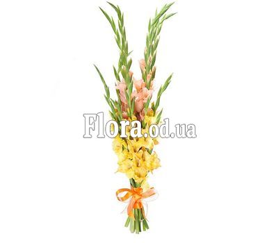 Милый букет гладиолусов