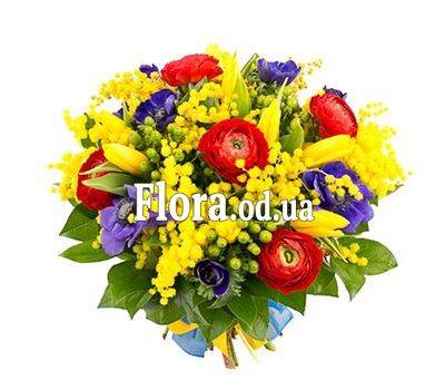 Mimosa and Ranunculus