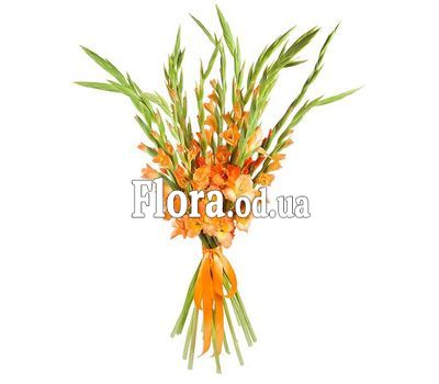 Яркий букет гладиолусов