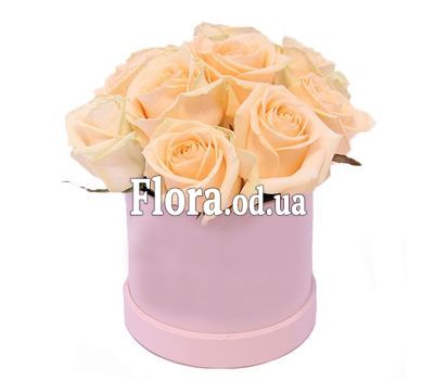 9 кремовых роз в коробке