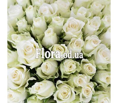 101 біла троянда 40 см 2