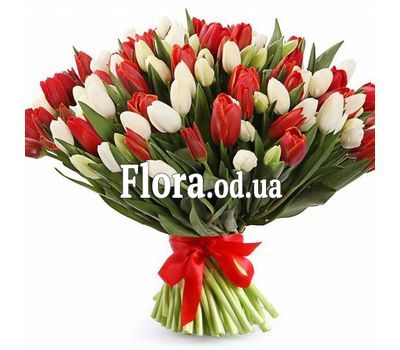 101 white and red tulips
