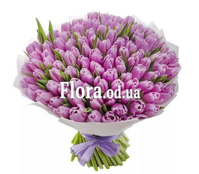 101 lilac tulips