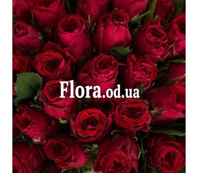 101 червона троянда 40 см 2