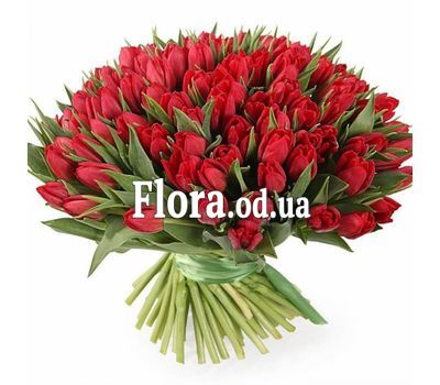 101 red tulips