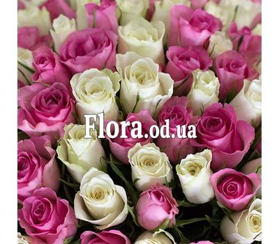 101 короткая роза 2