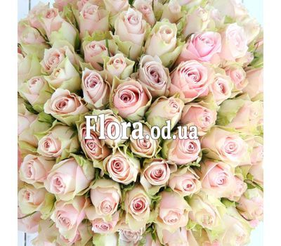 101 soft pink rose 40 cm 2