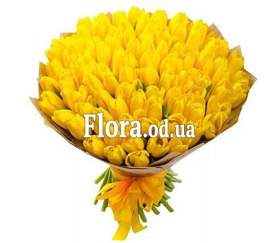 101 yellow tulips