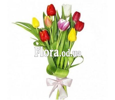 Bouquet of 9 Tulips