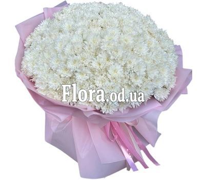 101 white chrysanthemum