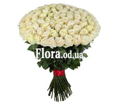 101 импортная белая роза