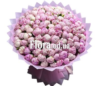 101 розовый пион